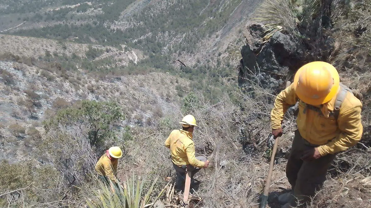 Incendios forestales en Coahuila